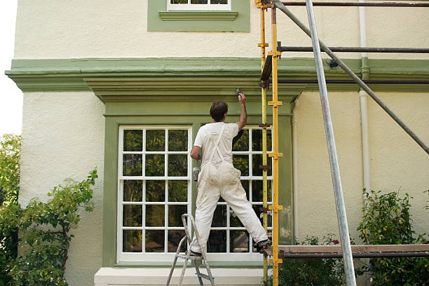 Painter and decorator working